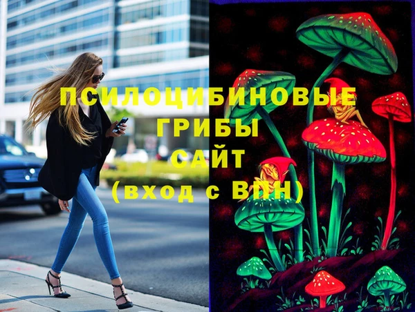 МДПВ Майский