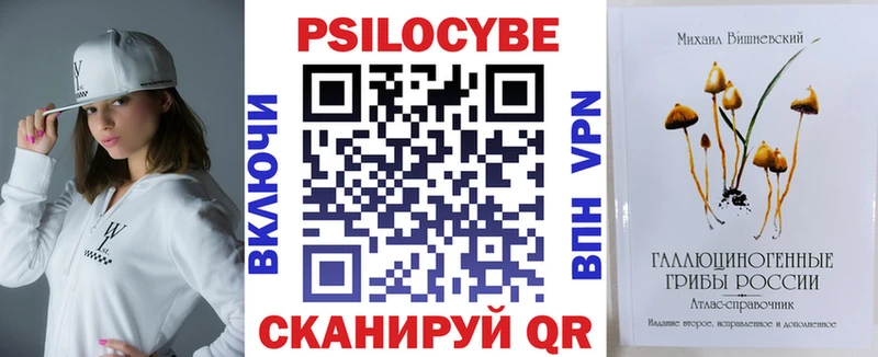 блэк спрут сайт  Невинномысск  Псилоцибиновые грибы мицелий 
